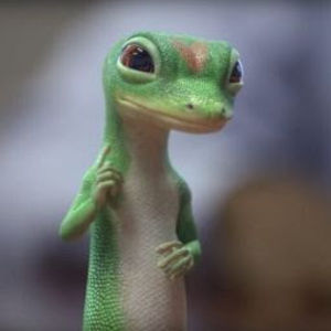 Meet your Posher, Joseph